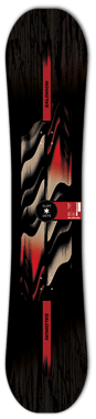 Wild Card Salomon